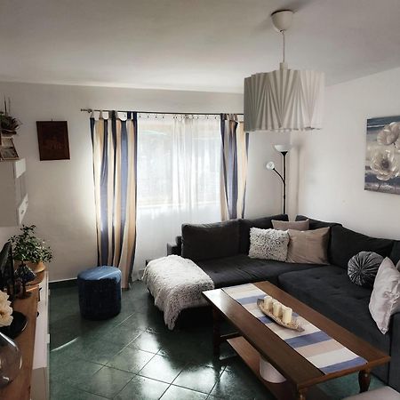 Apartment Mira Vrsar Bagian luar foto
