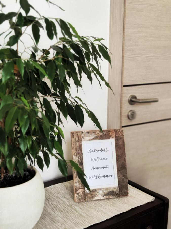 Apartment Mira Vrsar Bagian luar foto