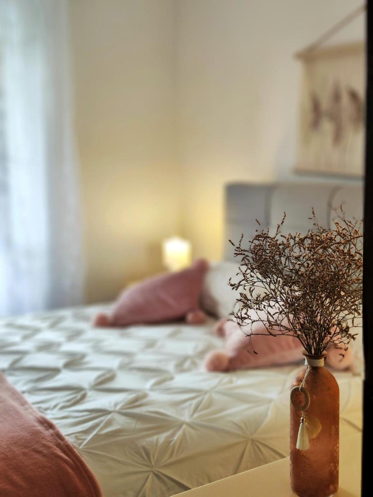 Apartment Mira Vrsar Bagian luar foto